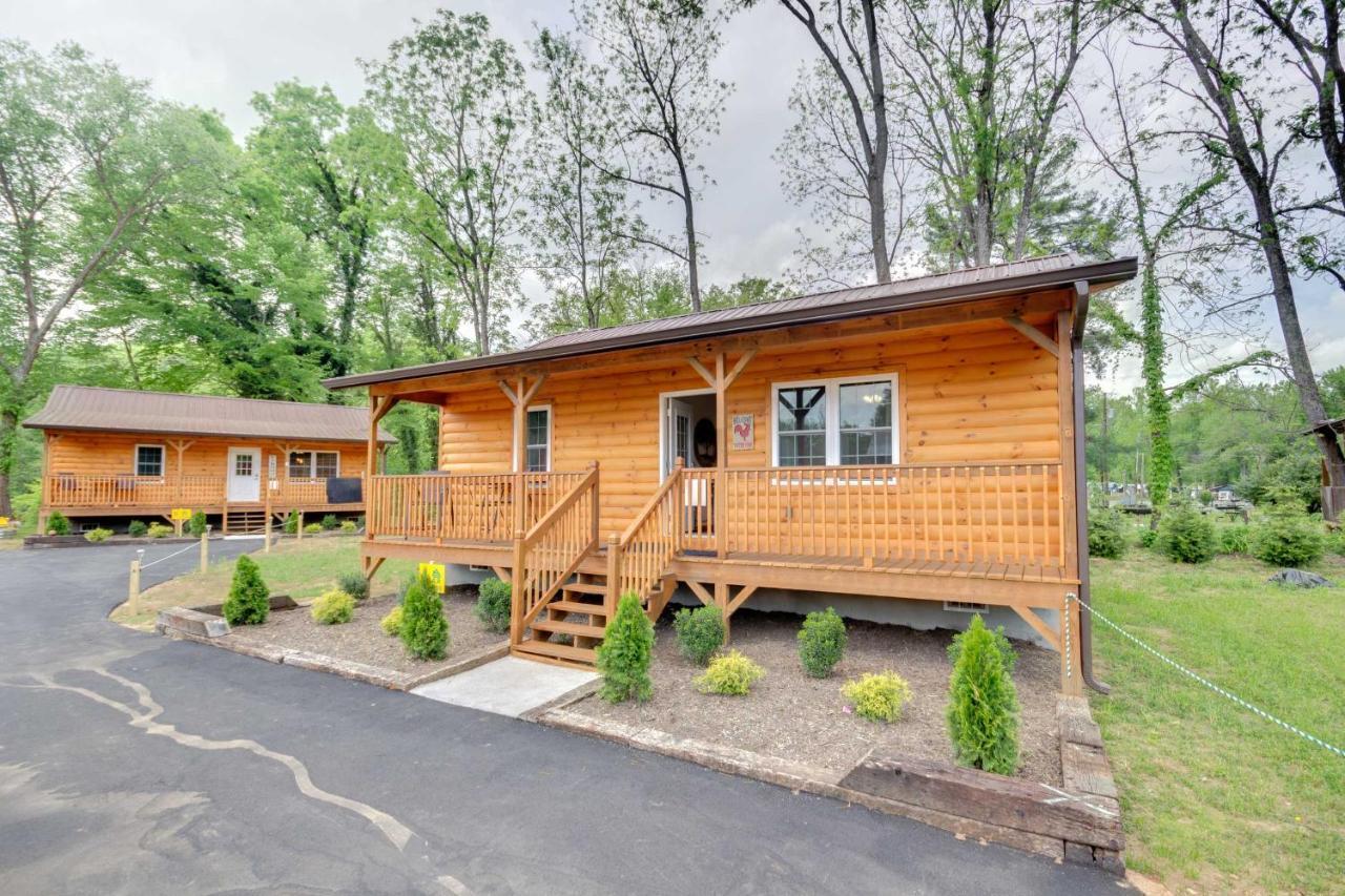 Newly Built Smoky Mountain Cabin Near Bryson City! Ngoại thất bức ảnh